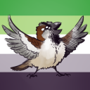 sparrrorow-art avatar