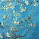 spectacularsarah avatar