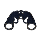 spectacularview avatar