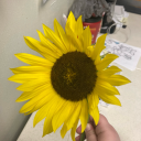 specter-solaire avatar