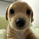 speedythintrash avatar