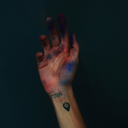 spencernotspencer avatar