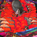 spencersworldofun-blog avatar