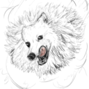 spheredog avatar