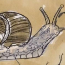 spicedsnail avatar