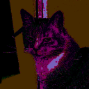 spicypizzawcheese avatar