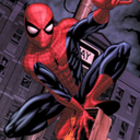 spider-person95 avatar