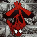 spiderbugyy avatar