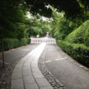 spiders-out-of-hell avatar