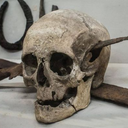 spidersgretzky avatar