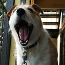 spiderxbatman avatar