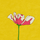 spinningonrepeat avatar