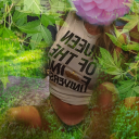 spinster-core avatar