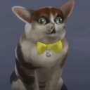 spleenthecat avatar