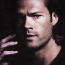 spnwolfpic avatar