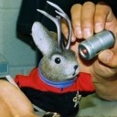 spockisintribble avatar