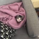 spocktaculartea avatar