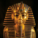 spoiledlettuce avatar