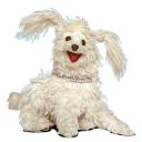 spongebobfan69 avatar