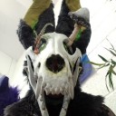 spooked-skull-studios avatar