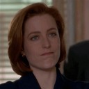 spooky-fox-1996 avatar