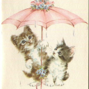 spookykikitty avatar