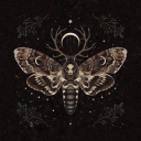 spookymoth1012 avatar