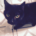 spookys-reservior avatar