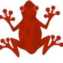 spottedfrogs avatar