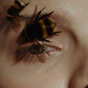 spraakentusiast avatar