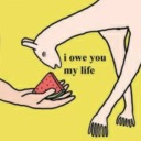 spravatoforlynn avatar