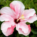 sproutydoesntknow avatar