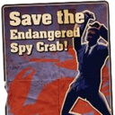 spycrabbypatty avatar