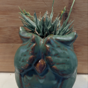 squarestarheart avatar