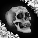 squeakysquidder avatar