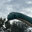 squiggles-123456 avatar