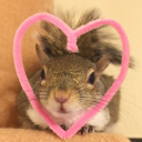 squirrelbiscuitz avatar