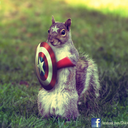 squirrels-at-midnight avatar