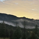 squishy-unicorn-bun avatar