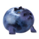 squishymuffin avatar