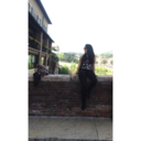 sswet-disposition avatar