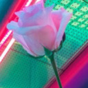 stag-with-swag avatar