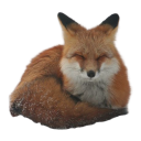 standuptragicomedy avatar