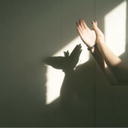 stanleys-birds avatar