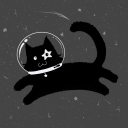 star1ight-cat avatar