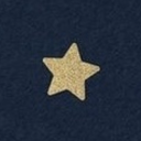 starboy-scribbles avatar