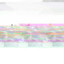 starcoforever avatar