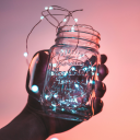 stardust-collective avatar