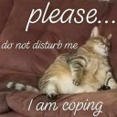 stardustandtea avatar