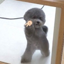 stardustcereal avatar